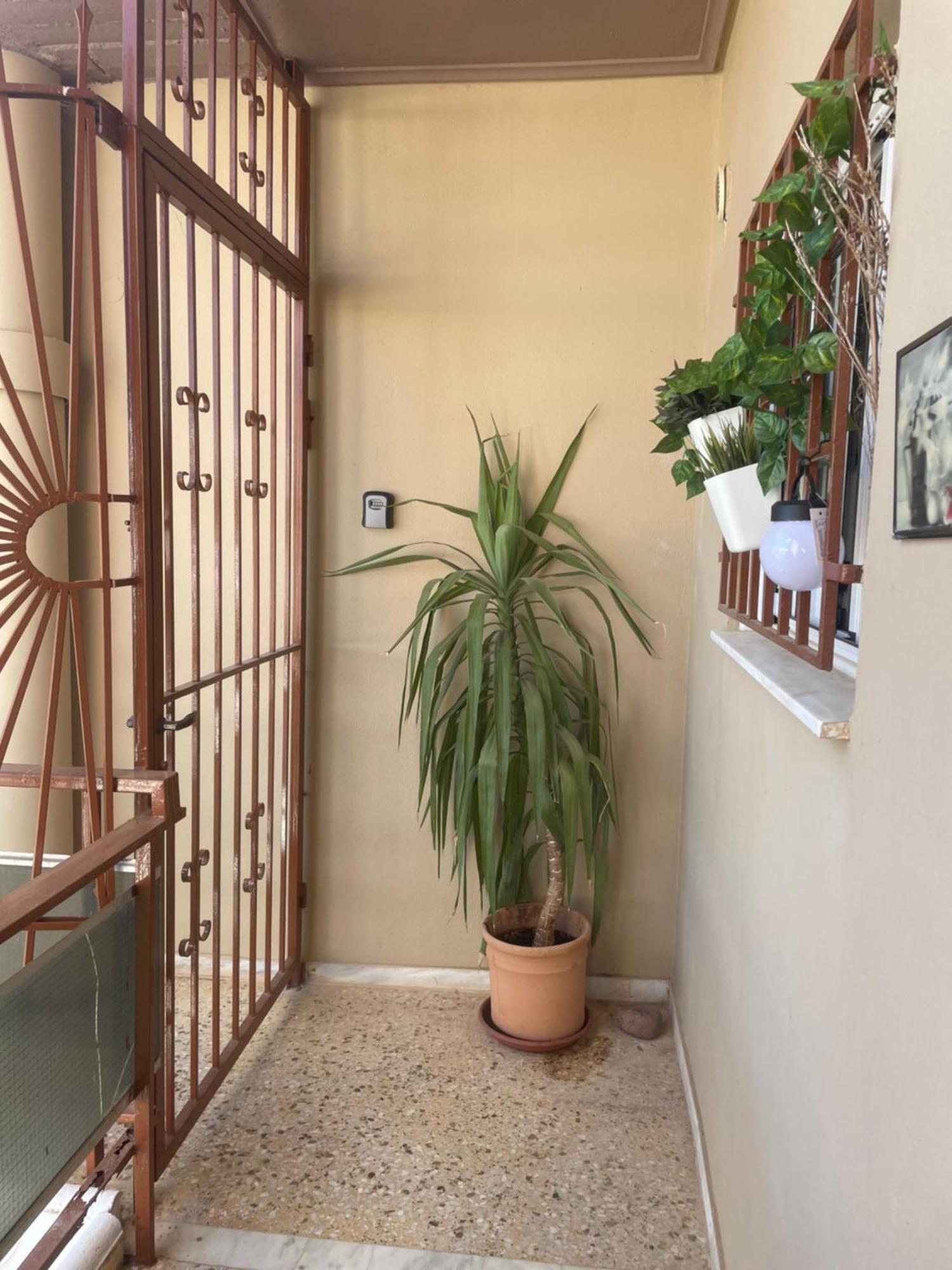 Seaside Argo Apartment Pórto Ráfti エクステリア 写真